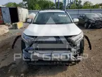 2021 Toyota RAV4 фото