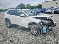2021 Toyota RAV4 photo