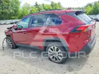 2021 Toyota RAV4 photo