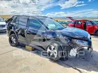 2021 Toyota RAV4 photo