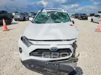 2021 Toyota RAV4 фото