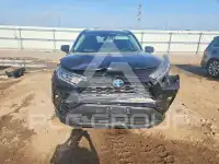 2021 Toyota RAV4 фото