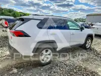 2021 Toyota RAV4 photo
