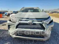 2021 Toyota RAV4 photo