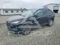 2021 Toyota RAV4 photo