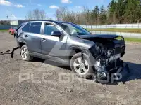 2021 Toyota RAV4 photo