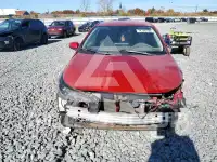 2021 Toyota COROLLA photo