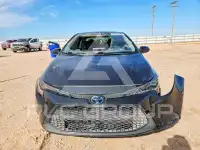 2021 Toyota COROLLA photo