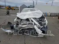 2021 Toyota COROLLA photo