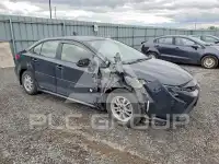 2021 Toyota COROLLA фото