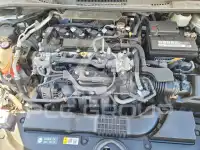 2021 Toyota COROLLA photo