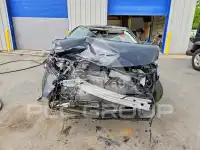 2021 Toyota COROLLA фото