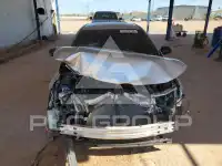 2021 Toyota COROLLA фото