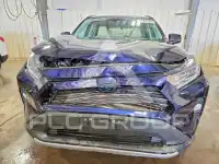 2021 Toyota RAV4 photo