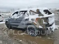 2021 KIA Sorento фото
