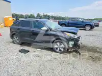2021 KIA Niro фото