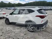 2021 KIA Seltos photo