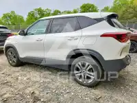 2021 KIA Seltos photo