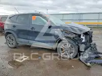 2021 KIA Seltos photo