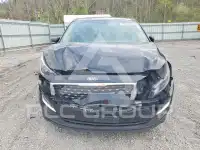 2021 KIA Sedona фото