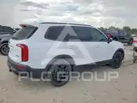 2021 KIA Telluride photo