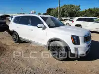 2021 KIA Telluride photo