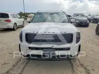 2021 KIA Telluride photo
