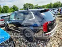 2021 KIA Telluride photo