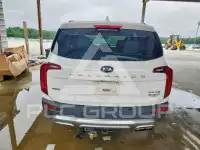 2021 KIA Telluride photo