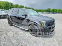 2021 KIA Telluride photo