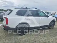 2021 KIA Telluride photo