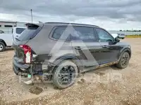 2021 KIA Telluride фото
