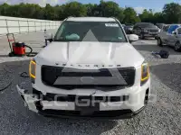 2021 KIA Telluride photo