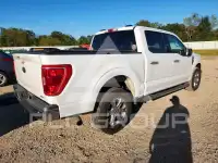 2021 Ford F-150 photo