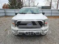 2021 Ford F-150 photo