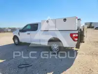 2021 Ford F-150 фото
