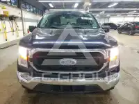 2021 Ford F-150 photo