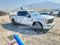 2021 Ford F-150 фото