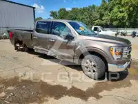 2021 Ford F-150 photo