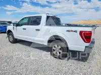 2021 Ford F-150 photo