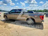 2021 Ford F-150 photo