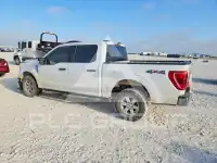 2021 Ford F-150 фото