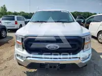2021 Ford F-150 photo