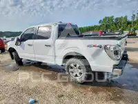 2021 Ford F-150 photo