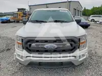 2021 Ford F-150 photo