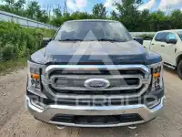 2021 Ford F-150 photo