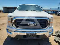 2021 Ford F-150 photo
