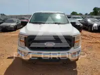 2021 Ford F-150 photo
