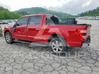 2021 Ford F-150 photo