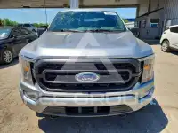 2021 Ford F-150 photo